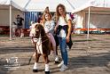 Foto Laudi_Flohmarkt_Vilshofen-21
